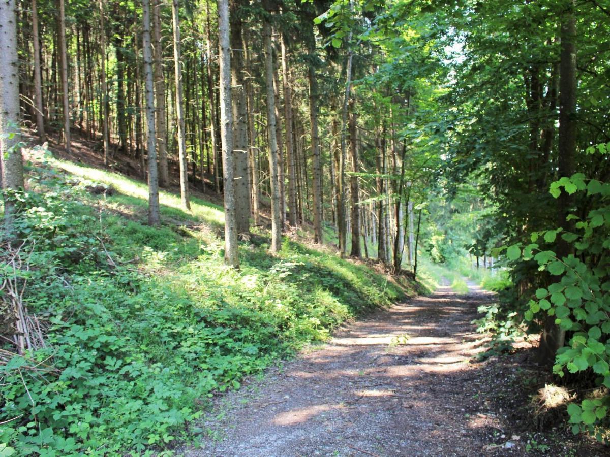 Apartment In Koettmannsdorf Near Bathing Lake Wurdach Exteriör bild